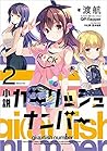 小説 ガーリッシュ ナンバー 2