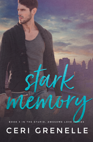 Stark Memory (Stupid Awesome Love #3)