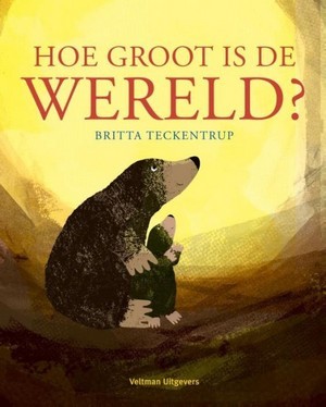 Hoe groot is de wereld? (Hardcover)