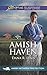 Amish Haven (Amish Witness Protection Book 3)