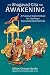 The Bhagavad Gita for Awakening: A Practical Commentary for Leading a Successful Spiritual Life (Dharma for Awakening Collection)