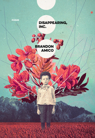 Disappearing, Inc. (Paperback)