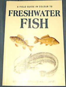 Freshwater Fish (English and Czech Edition)