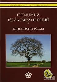 Günümüz İslam Mezhepleri (Paperback)