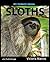 My Favorite Animal: Sloths