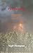 Fire Survivor: A Personal S...