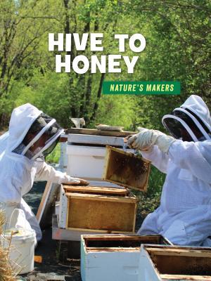 Hive to Honey (21st Century Skills Library: Nature's Makers)