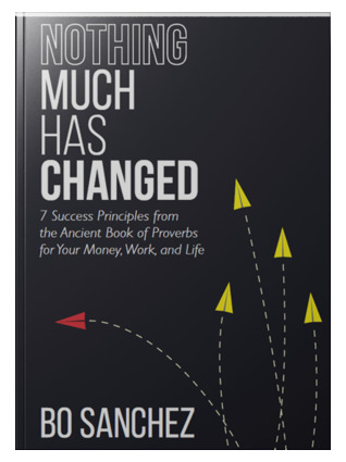 Nothing Much Has Changed (7 Success Principles from the Ancient Book of Proverbs for Your Money, Work, and Life (Paperback)