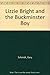 Lizzie bright and the Buckminster Boy by Gary D. Schmidt