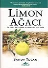 Limon Ağacı