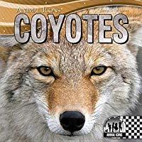 Coyotes (Animal Icons)