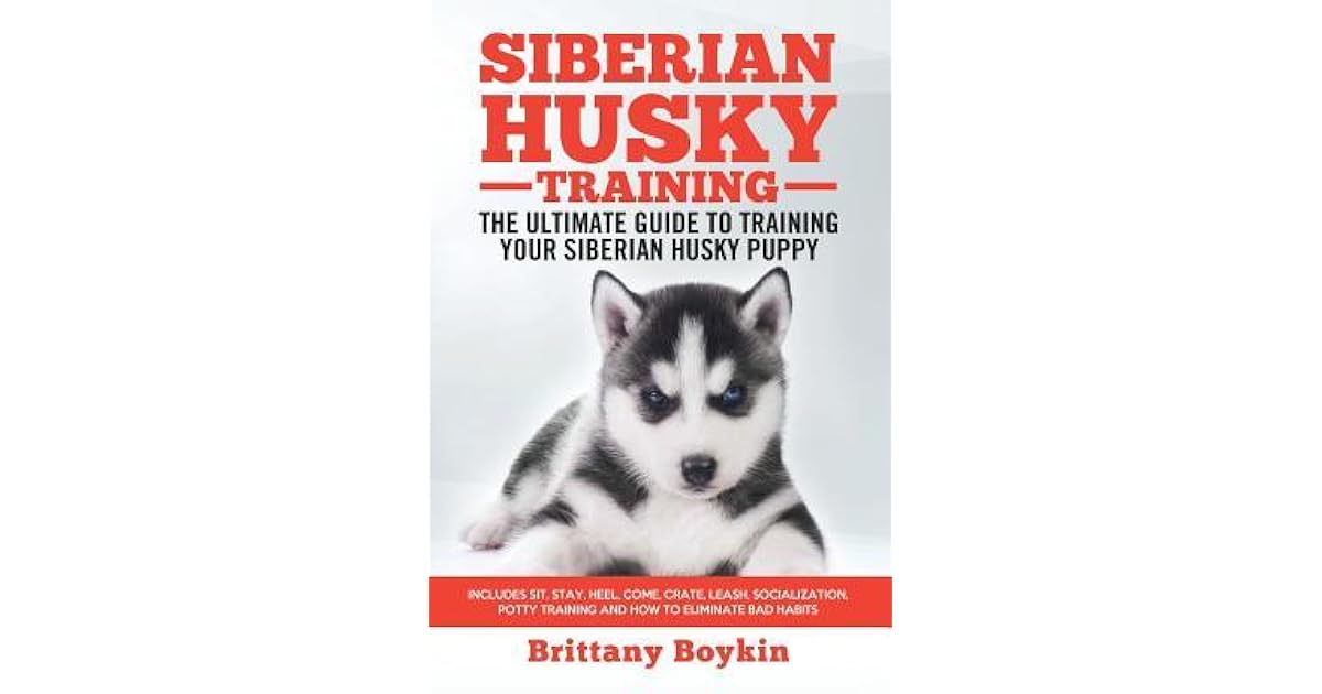 siberian husky potty training