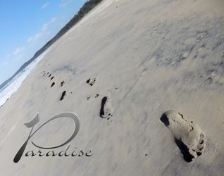 Paradise (Fraser Island) 2016