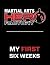 Martial Arts Hero Factory M...