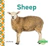 Sheep (Farm Animals ~ Abdo Kids) Sheep (Farm Animals ~ Abdo Kids)
