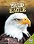 Bald Eagle (Back from Near Extinction)