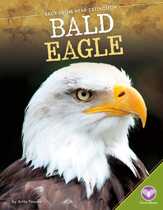 Bald Eagle (Back from Near Extinction)