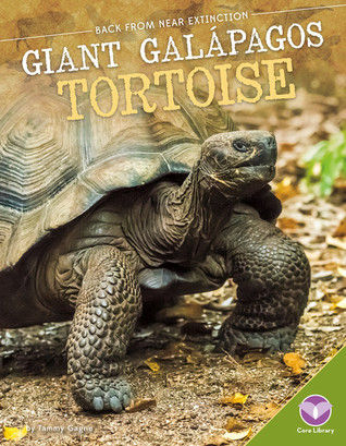 Giant Galápagos Tortoise (Back from Near Extinction)