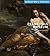 Frans Hals Museum: Director...