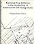 Exposing Drug Addiction in the Handwriting of Adolescents and Young Adults