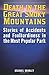 Death in the Great Smoky Mo...