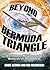 Beyond the Bermuda Triangle: True Encounters with Electronic Fog, Missing Aircraft, and Time Warps
