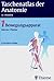 Taschenatlas der Anatomie 1...