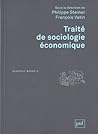 Traité de sociologie économique