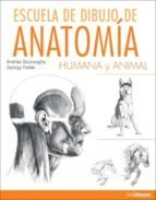 ESCUELA DE DIBUJO DE ANATOMIA HUMANA Y ANIMAL (En papel)