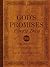 God's Promises Every Day: 365-Day Devotional (God's Promises®)