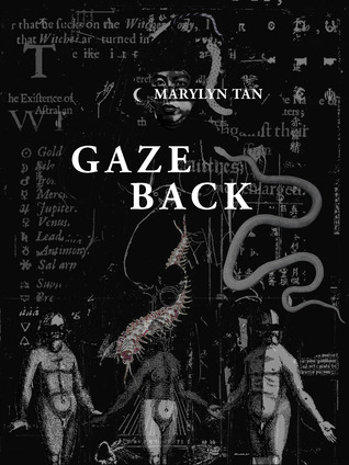 Gaze Back (Paperback)