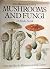 The Illustrated Book of Mushrooms and Fungi by Mirko Svrcek
