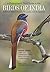 A Photographic Field Guide to the Birds of India, Pakistan, N... by Bikram Grewal