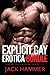 Explicit Gay Erotica Bundle by Jack Hammer