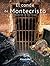 El conde de Montecristo by Ana Crespo