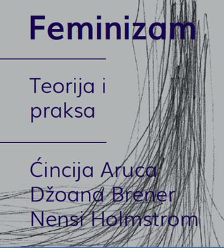 Feminizam — Teorija i praksa (Paperback)