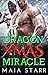Dragon Xmas Miracle (Dragon...