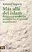 MAS ALLA DEL ISLAM. Política y conflictos actuales en el mundo musulmán.