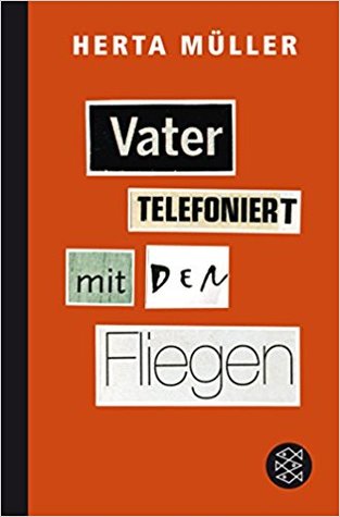 Vater telefoniert mit den Fliegen (Hardcover)