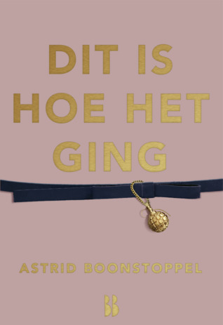 Dit is hoe het ging (Paperback)