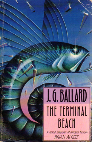 The Terminal Beach