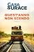 Quest'anno non scendo