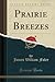 Prairie Breezes by James W. Foley