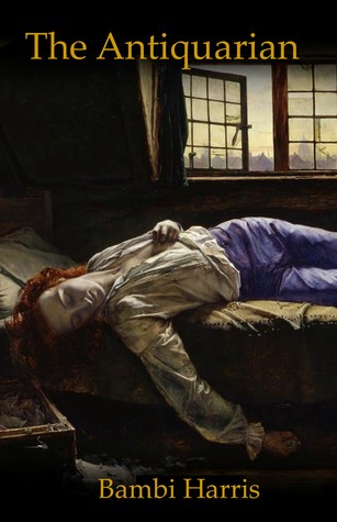 The Antiquarian (Paperback)