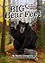 Big Bear Feet (Lucky Luke's...