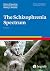 The Schizophrenia Spectrum (Advances in Psychotherapy - Evidence-Based Practice Book 5)