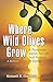 Where Wild Olives Grow