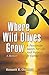 Where Wild Olives Grow by Kenneth Overman