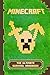 Minecraft by Steve Kid