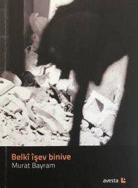 Belkî îşev binive (Paperback)
